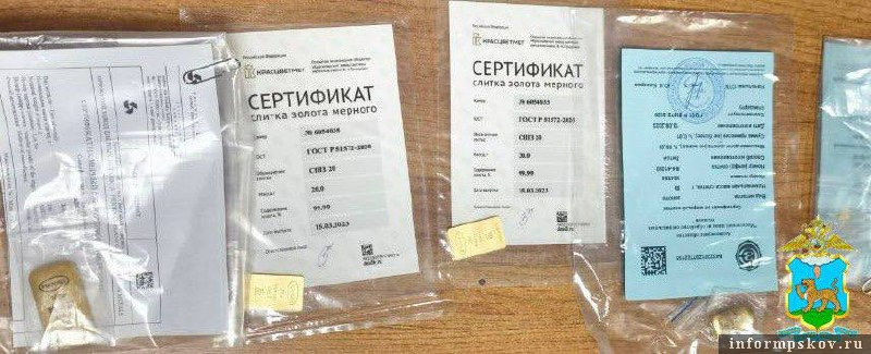 Фото: УМВД России по Псковской области