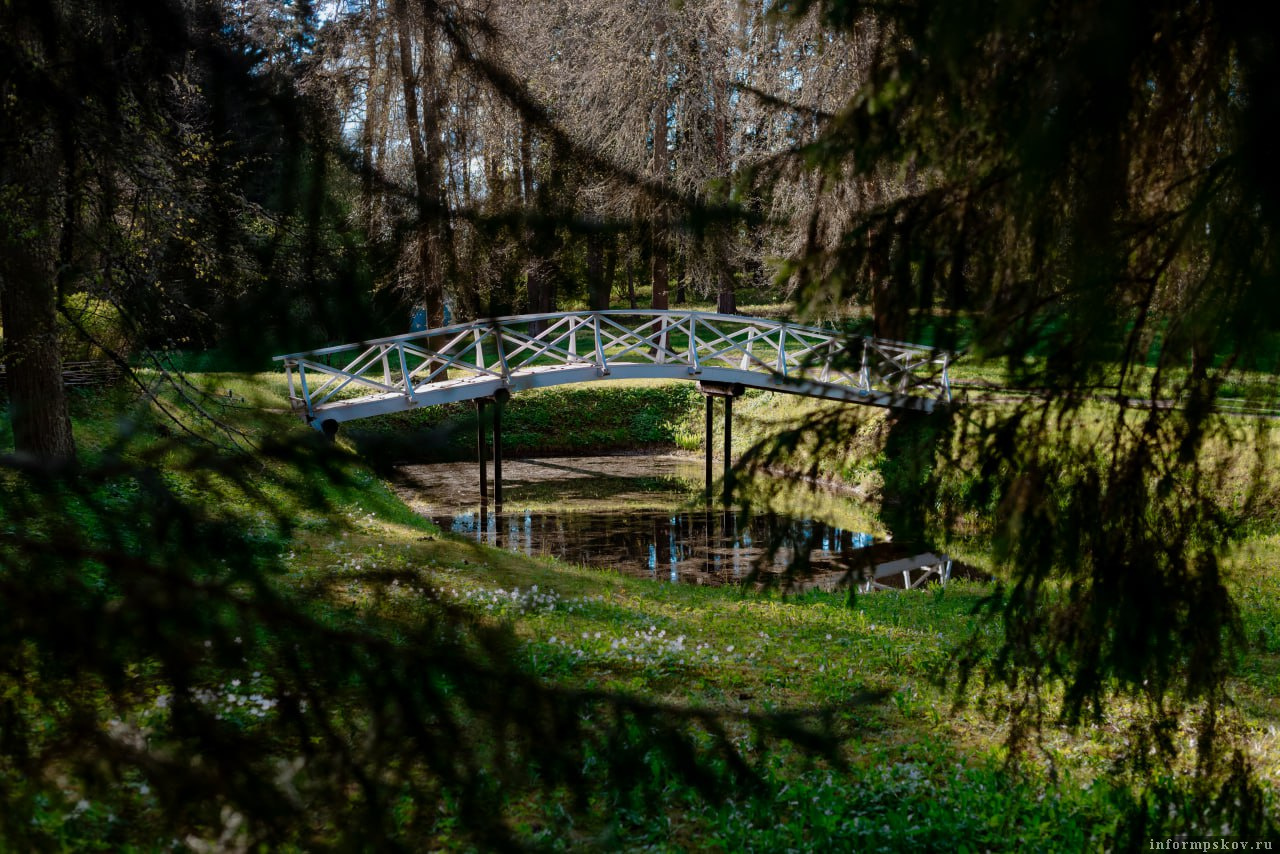 Фото: ПАИ