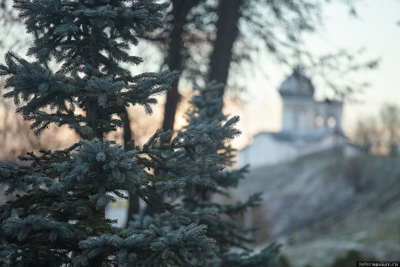 Фото: ПАИ