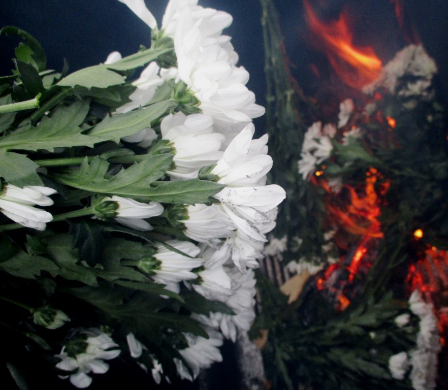 Фото: пресс-служба Северо-Западного межрегионального управления Россельхознадзора