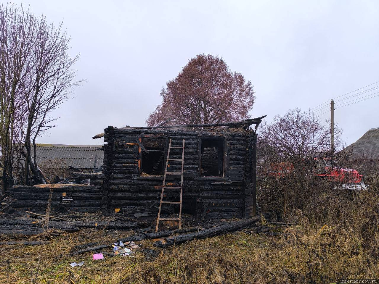 Фото: пресс-служба СУ СК РФ по Псковской области