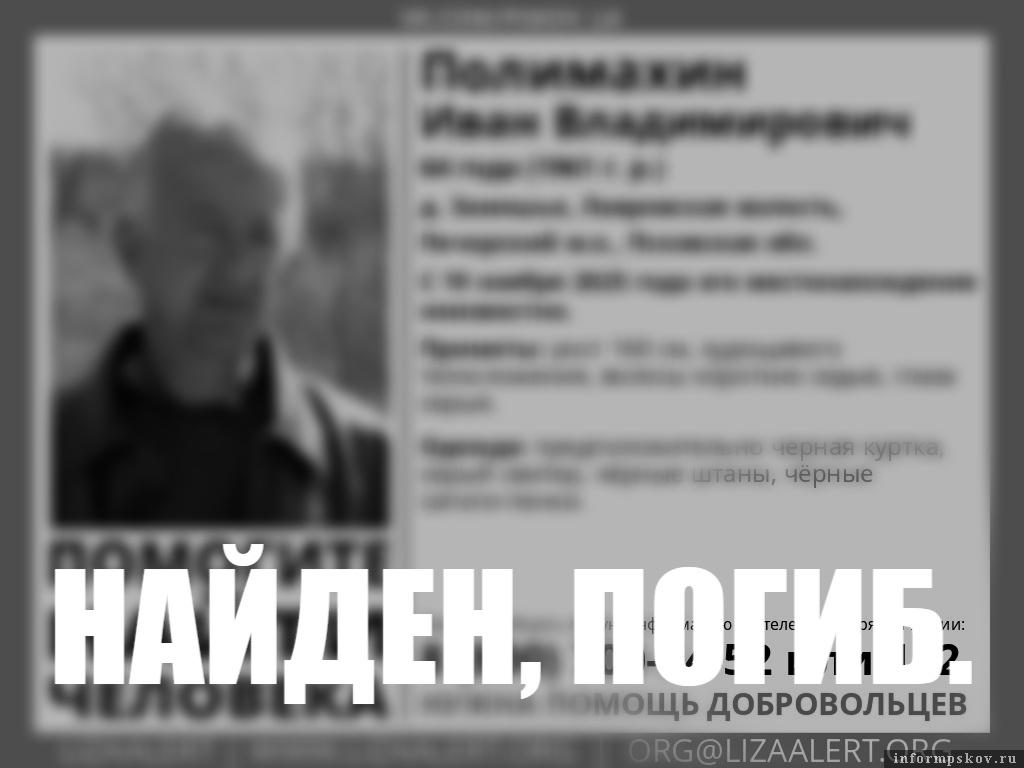 Изображение: поисковый отряд «ЛизаАлерт» Псковской области