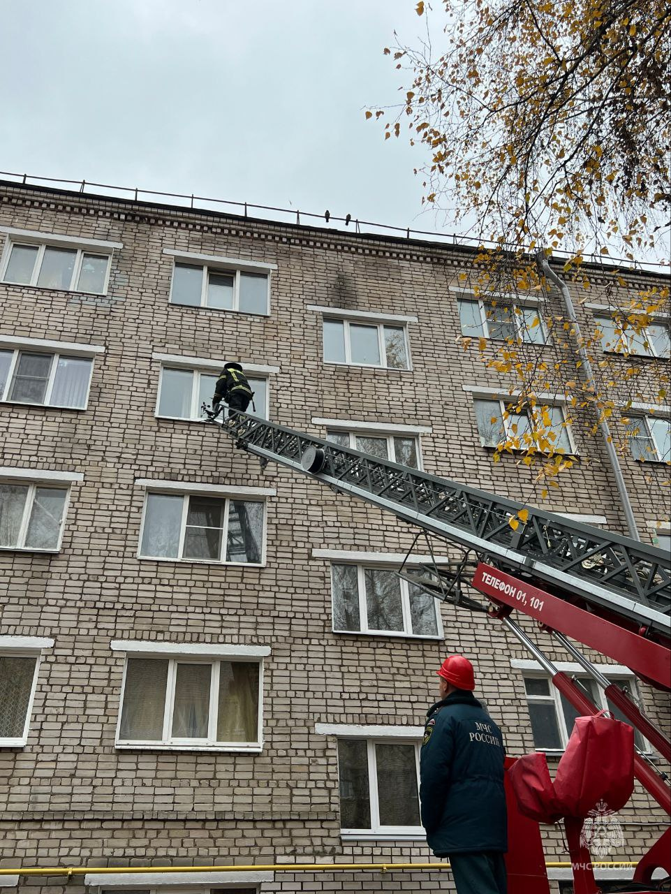 Фото: пресс-служба ГУ МЧС России по Псковской области