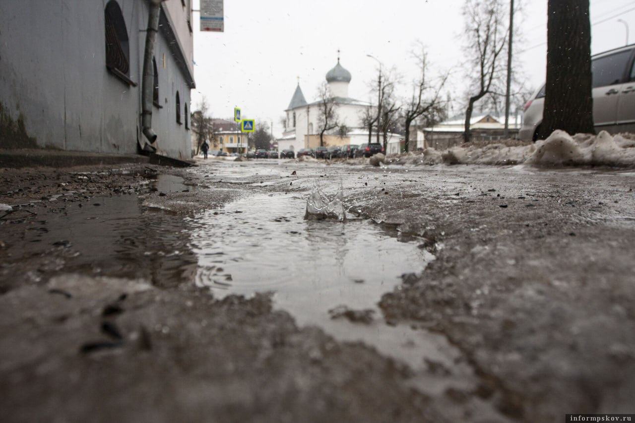 Фото: ПАИ