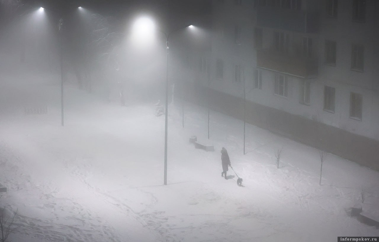 Фото: Андрей Кокшаров