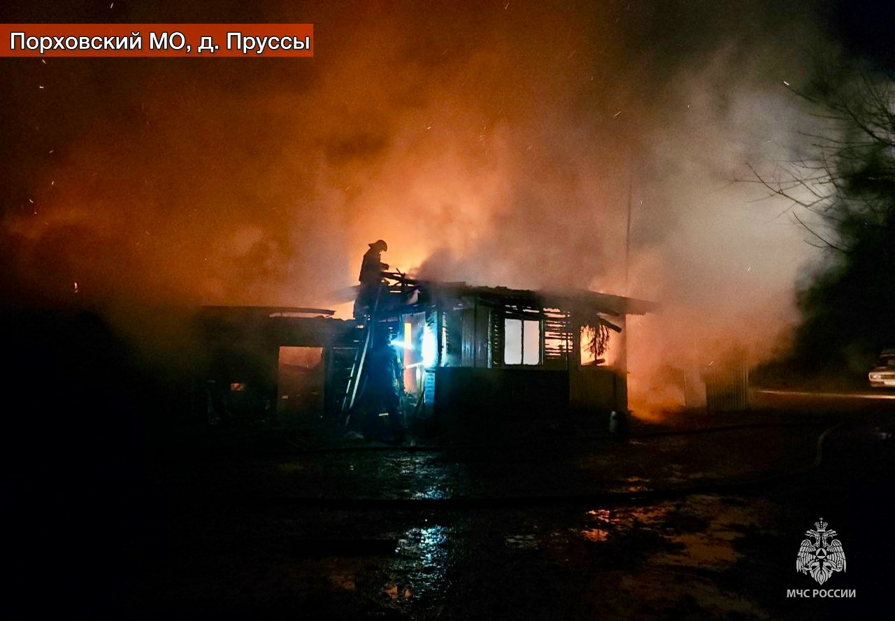 Фото: пресс-служба ГУ МЧС России по Псковской области