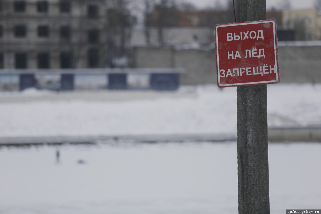 Фото: ПАИ