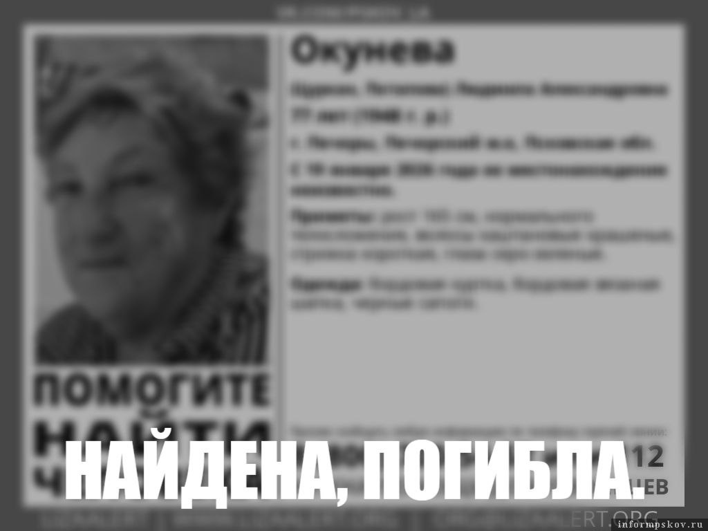 Изображение: поисковый отряд «ЛизаАлерт» Псковской области