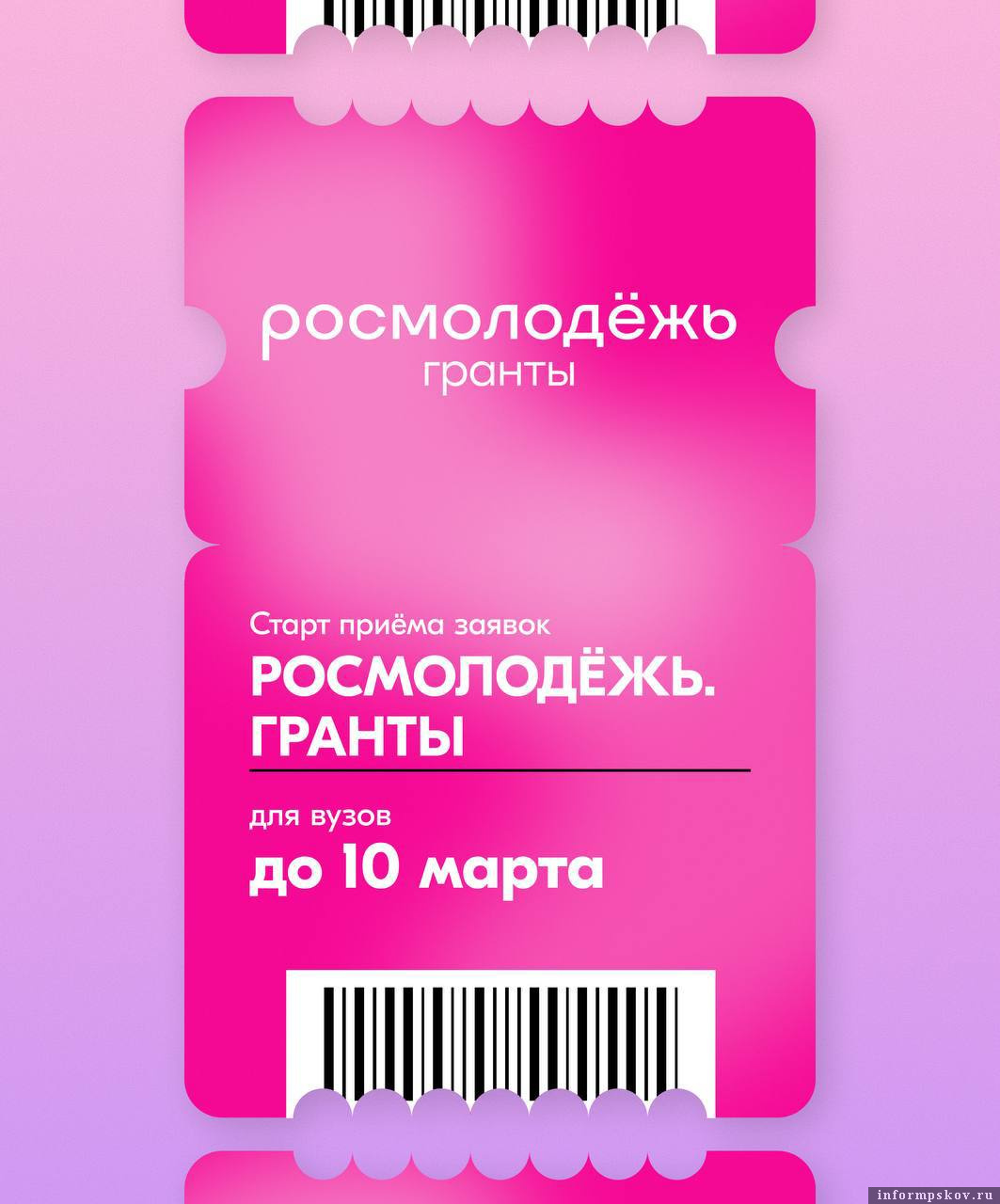 Изображение предоставили в АНО ПО «Центр молодёжи и общественных инициатив»
