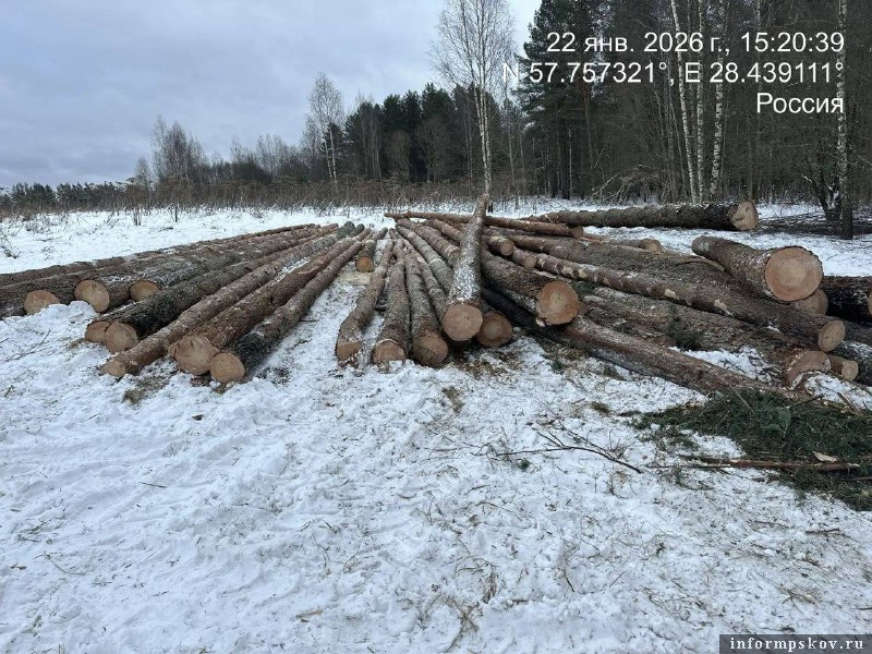 Фото: прокуратура Псковской области