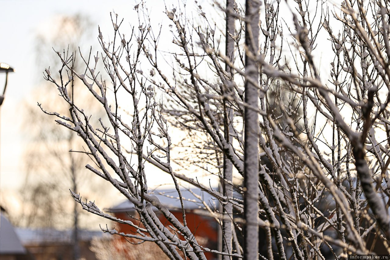 Фото: ПАИ