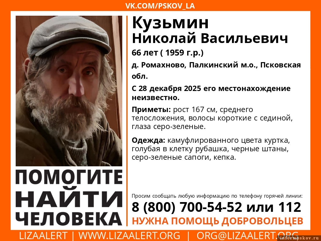 Фото: «ЛизаАлерт» в Псковской области
