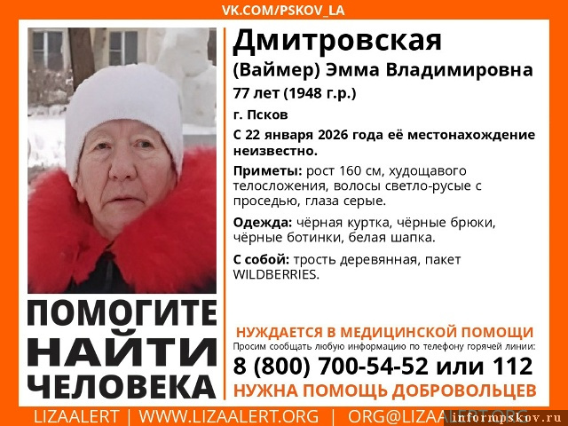 Изображение: поисковый отряд «ЛизаАлерт» Псковской области