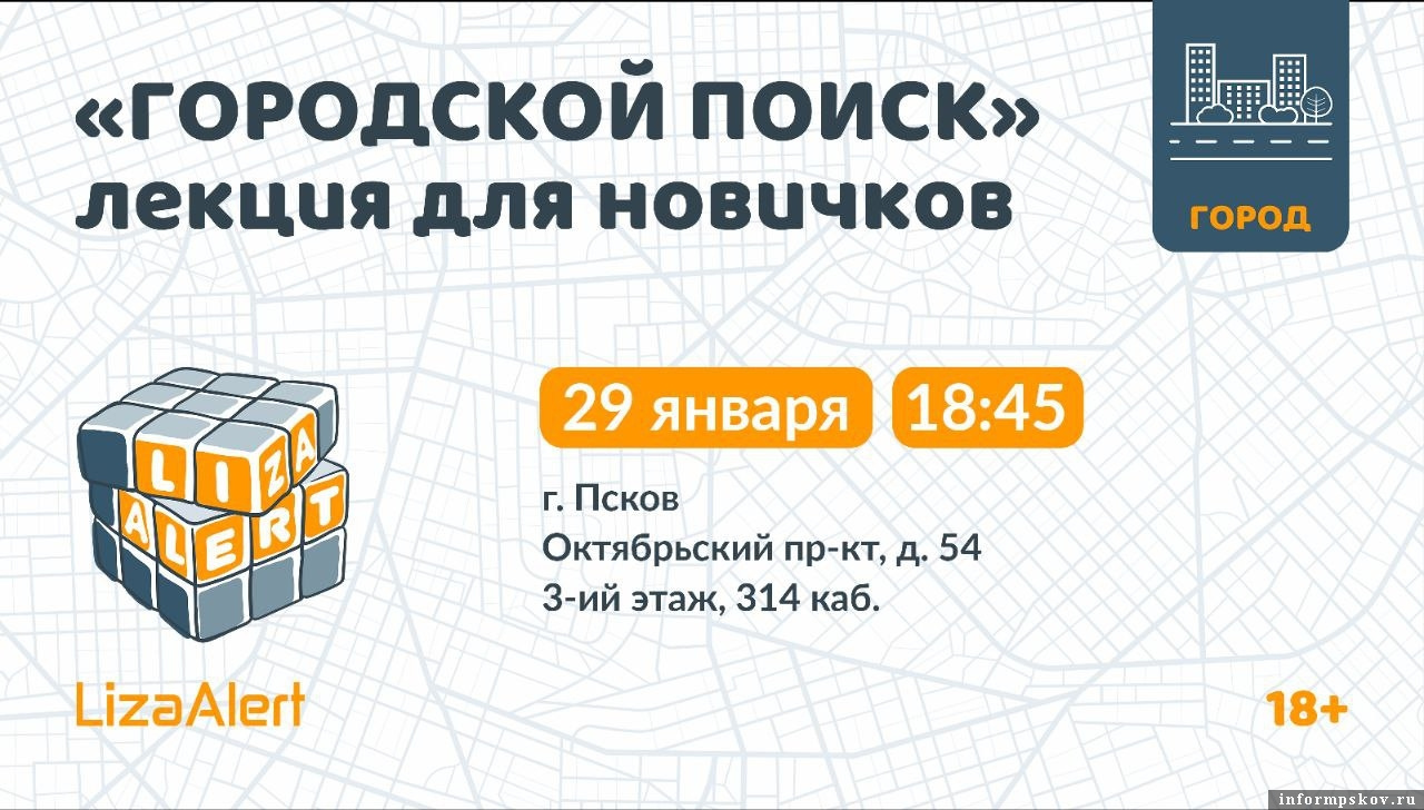 Фото здесь и далее: «ЛизаАлерт» 