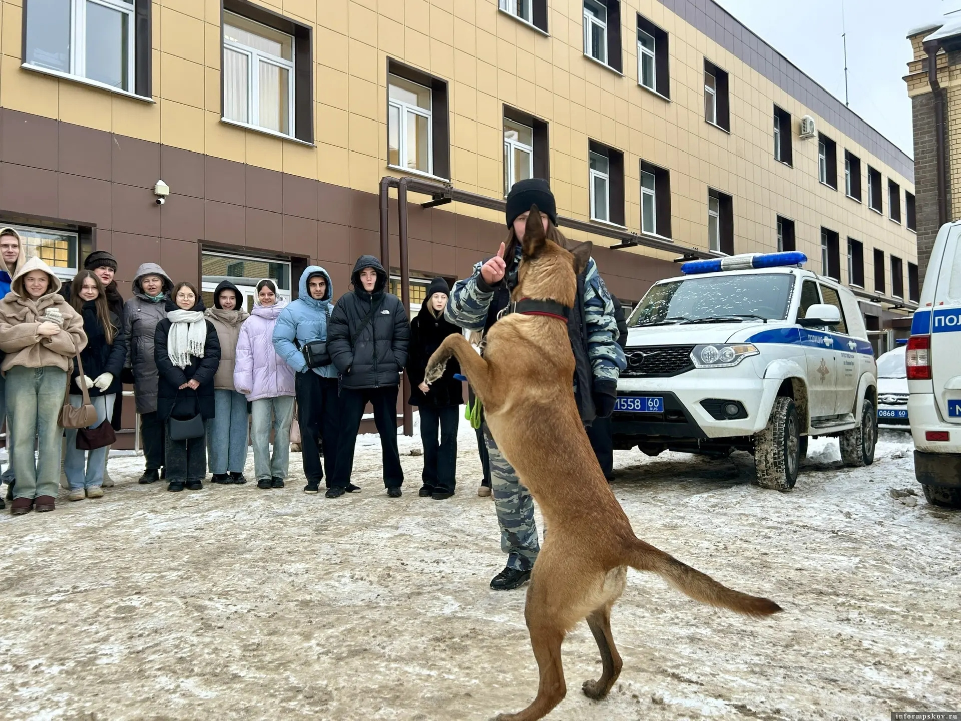 Фото здесь и далее: ОМВД России по городу Великие Луки