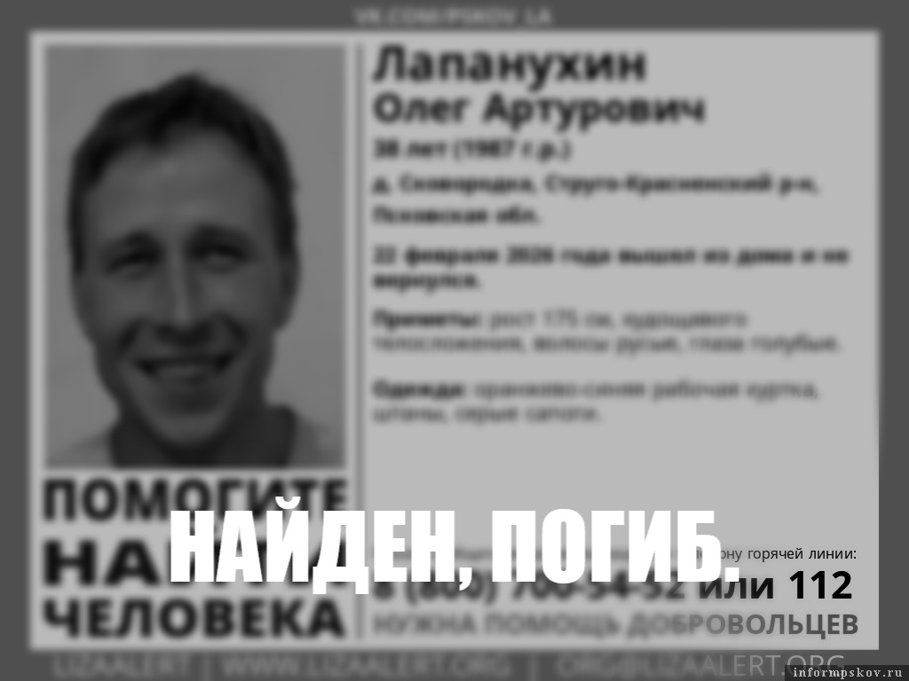 Фото: поисковый отряд «Лиза Алерт»