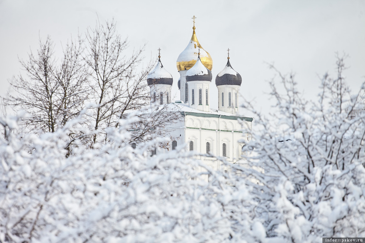 Фото: ПАИ