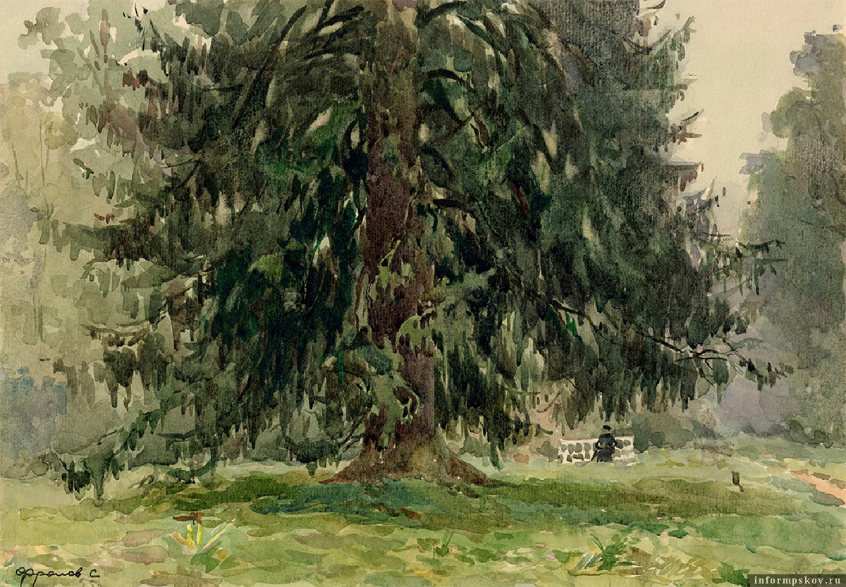 Сергей Фролов. Тригорское. «Ель-шатёр» (1955). Из фондов Пушкинского заповедника