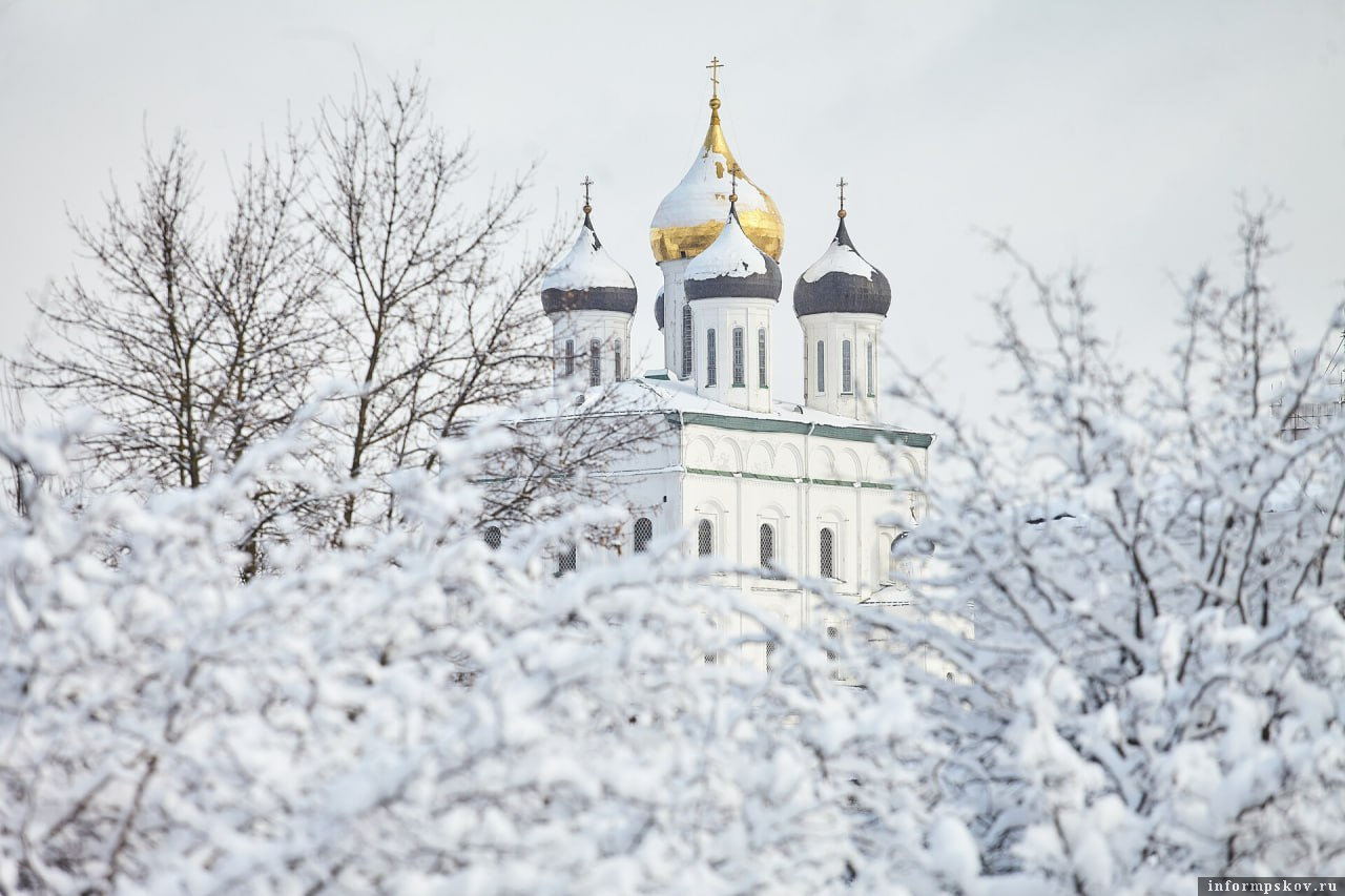 Фото: ПАИ
