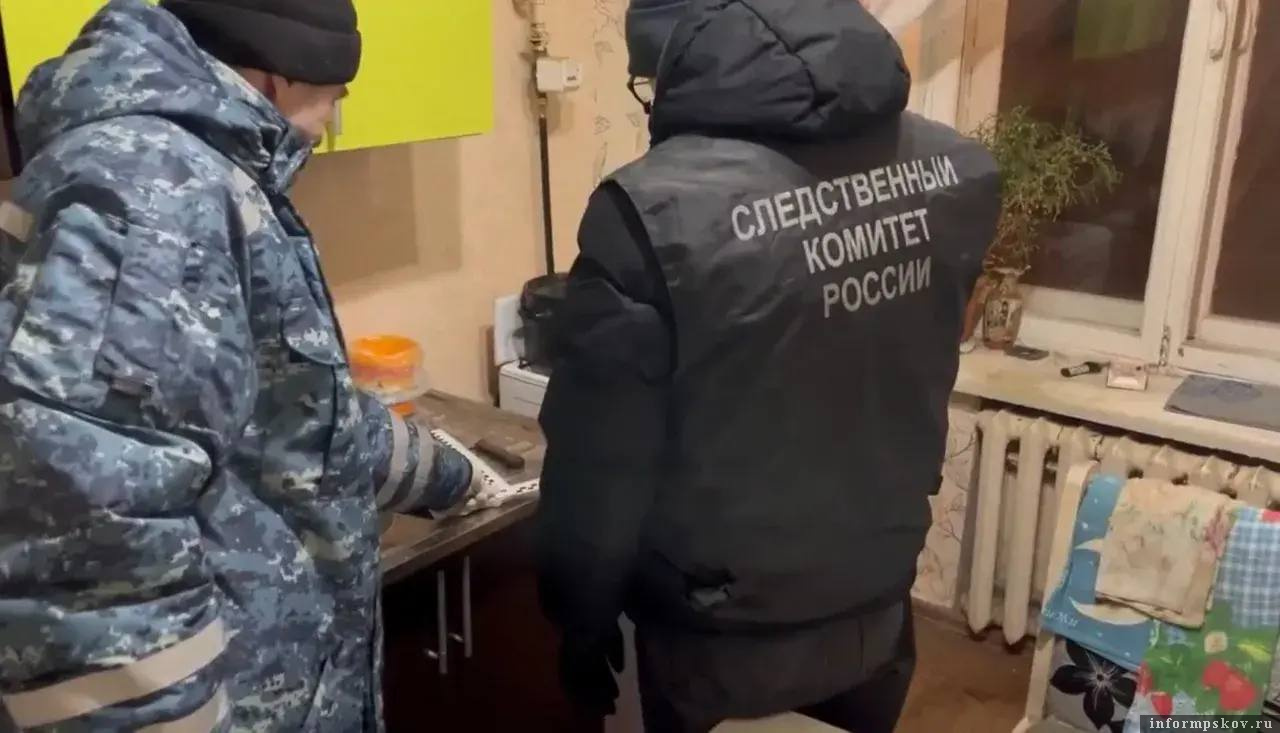 Фото: Telegram-канал «Псковская сводка. ПАИ»