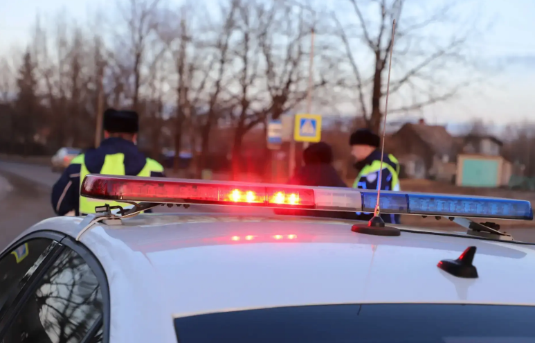 Фото: Госавтоинспекция Псковской области