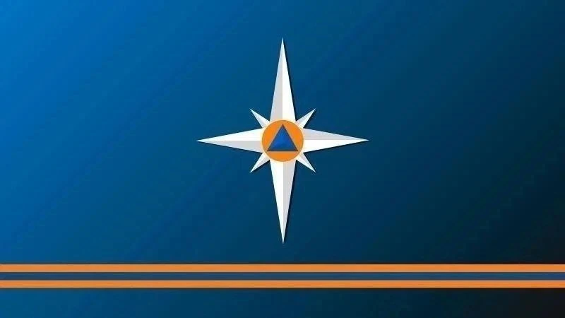 Изображение: пресс-служба ГУ МЧС России по Псковской области