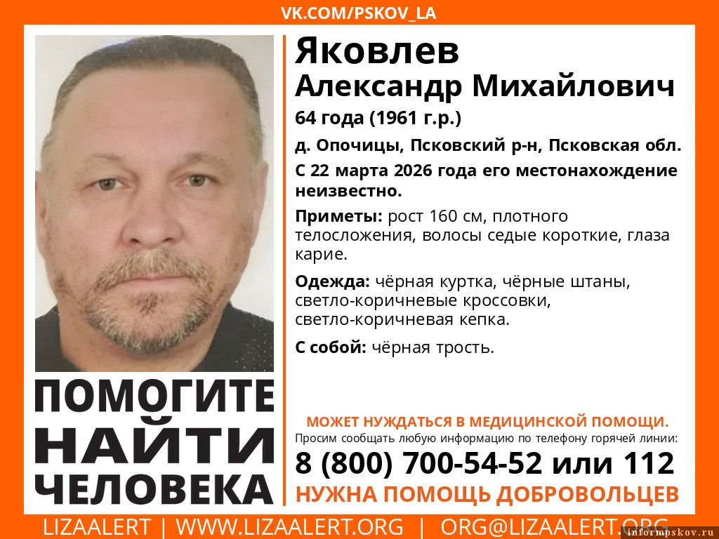 Фото из группы поисково-спасательного отряда «ЛизаАлерт. Псковская область» в соцсети «ВКонтакте»