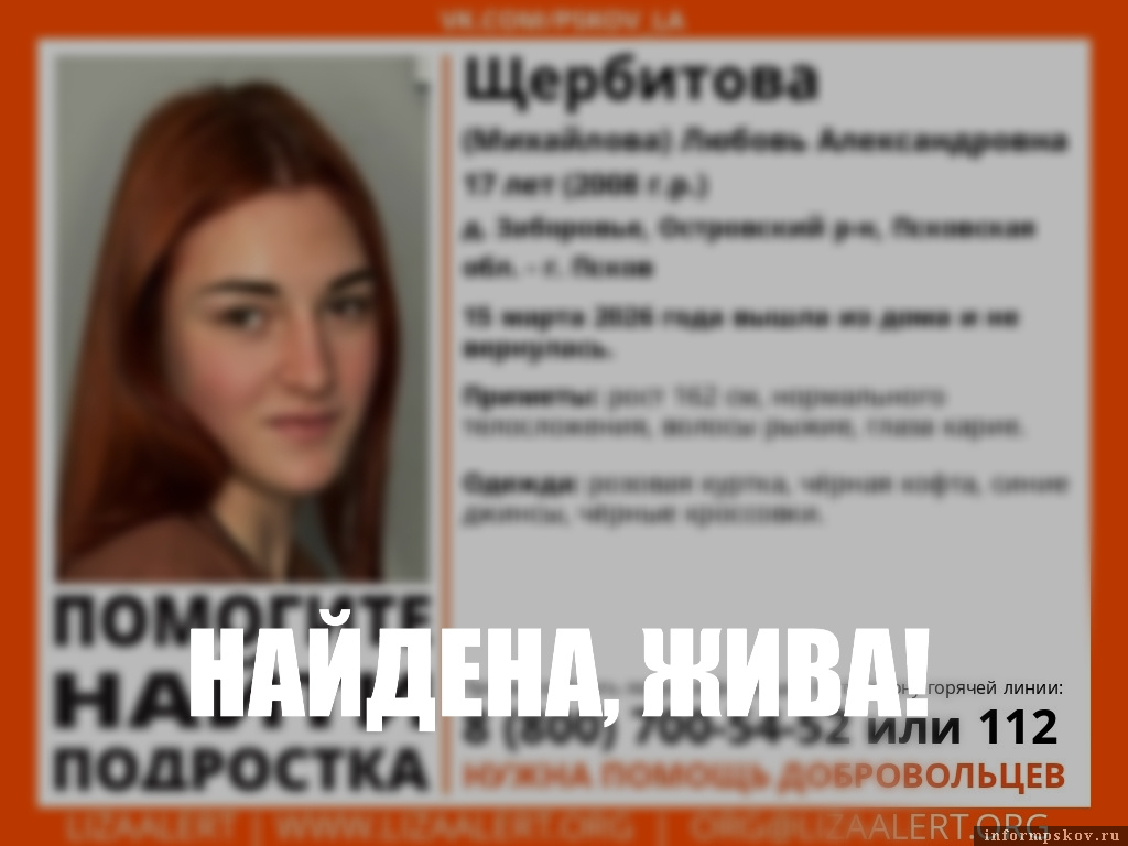 Фото из группы поисково-спасательного отряда «ЛизаАлерт. Псковская область» в соцсети «ВКонтакте»