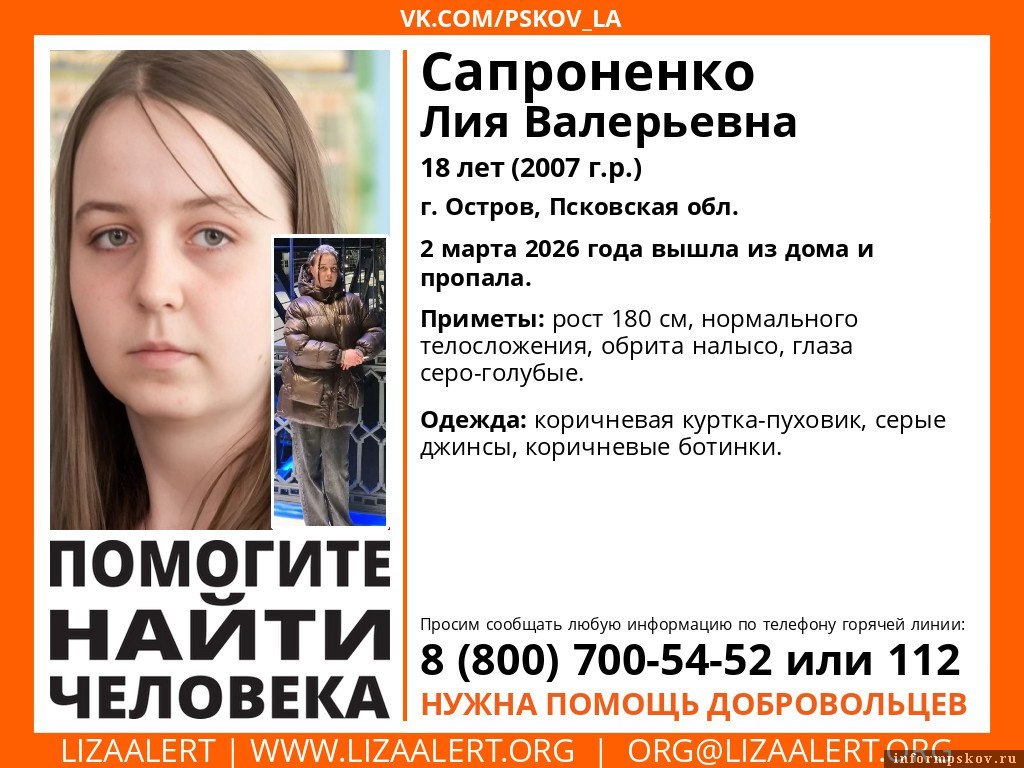 Фото: группа «ЛизаАлерт. Псковская область» в соцсети «ВКонтакте»