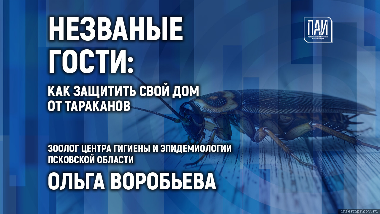 Иллюстрация: ПАИ