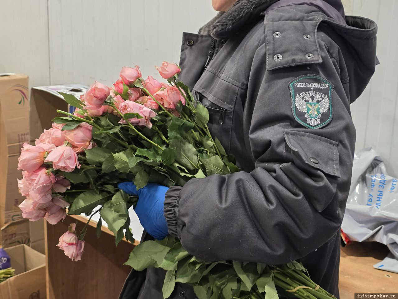 Фото: Северо-Западное межрегиональное управление Россельхознадзора 