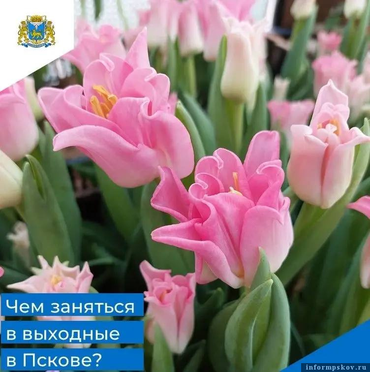 Фото из телеграм-канала Бориса Елкина