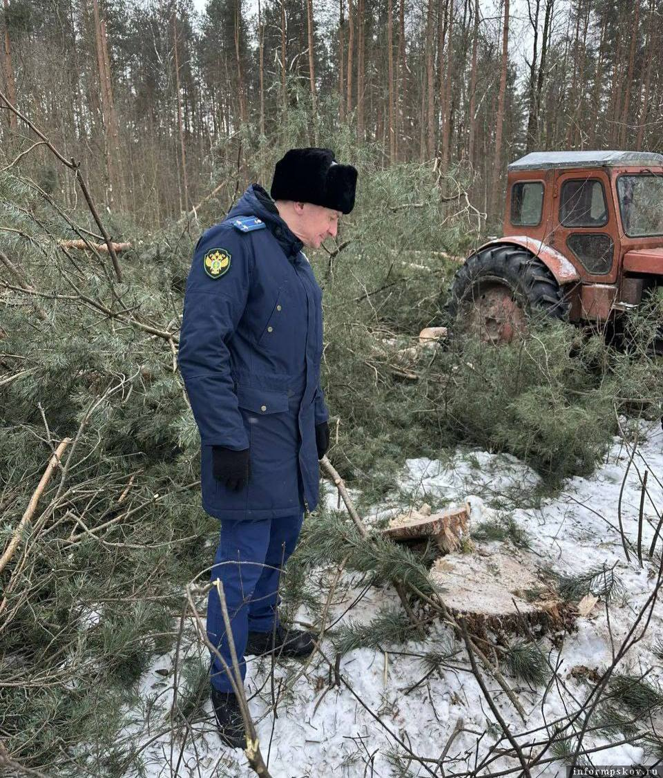 Фото из телеграм-канала прокуратуры Псковской области 