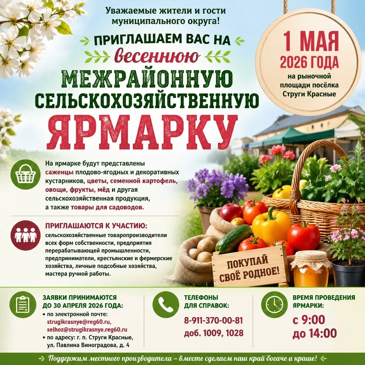 Изображение: администрация Стругокрасненского муниципального округа