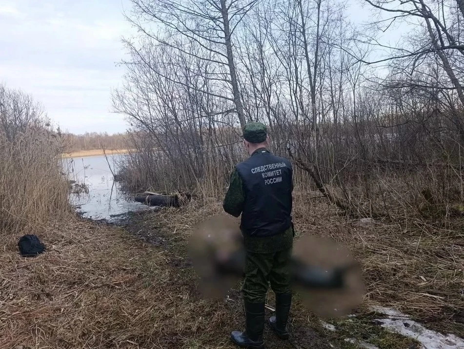 Фото: пресс-служба СУ СК России по Псковской области
