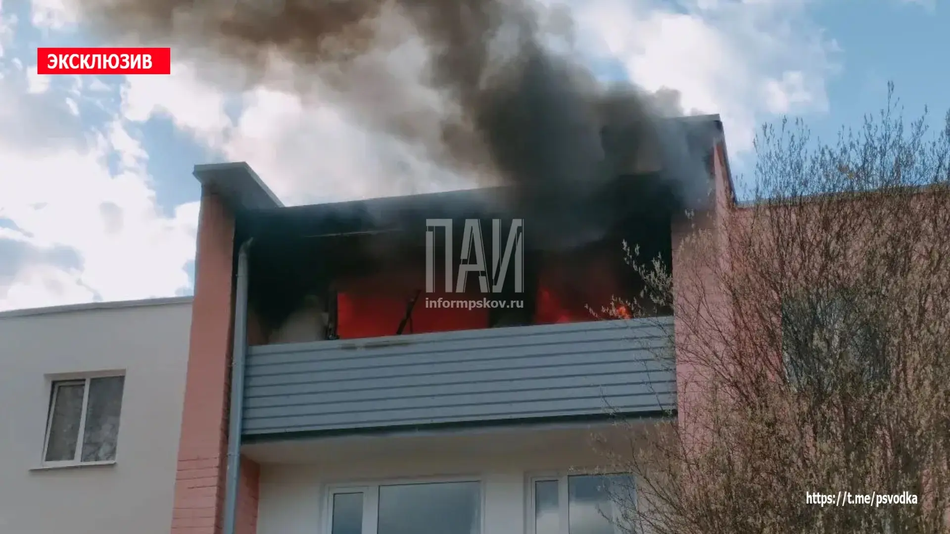 Фото здесь и далее: ПАИ