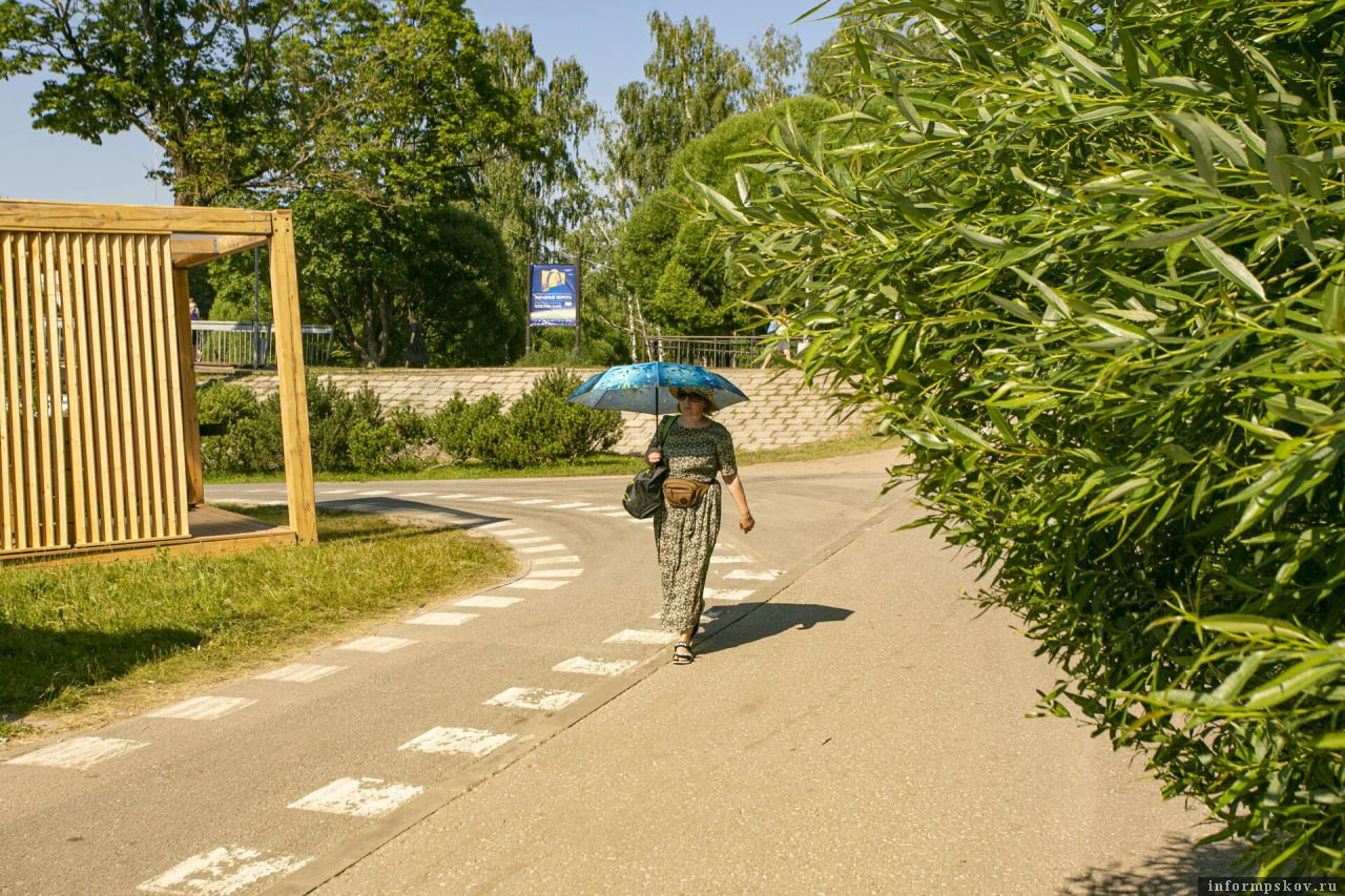 Фото: ПАИ