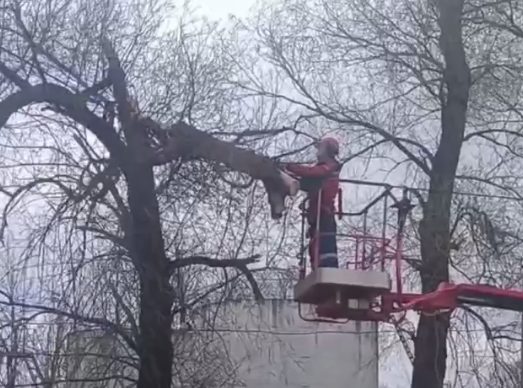 Скрин с видео «Россети Северо-Запад»