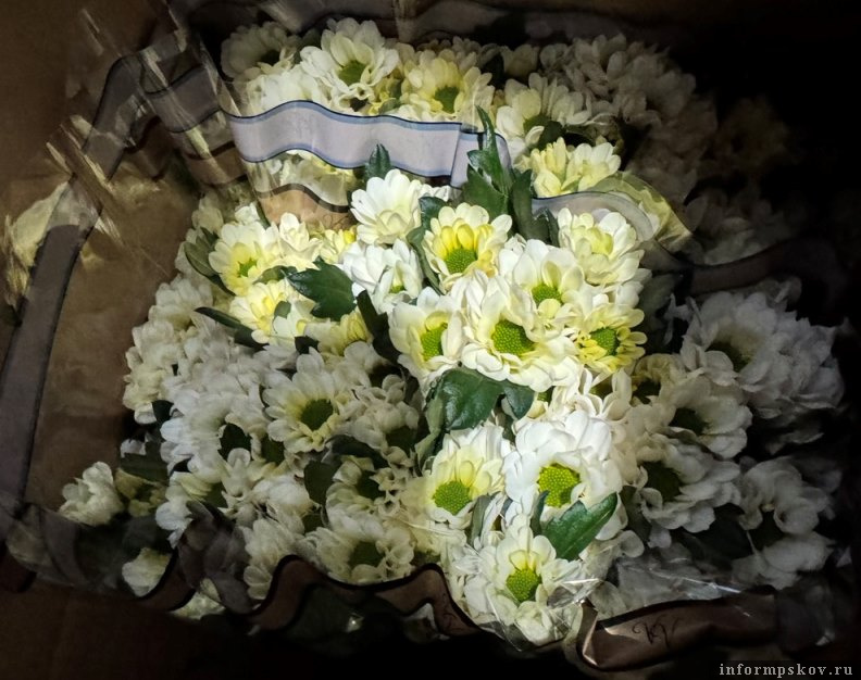 Фото: Северо-Западное межрегиональное управление Россельхознадзора