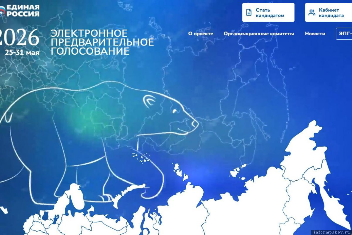 Фото: региональное отделение партии «Единая Россия»