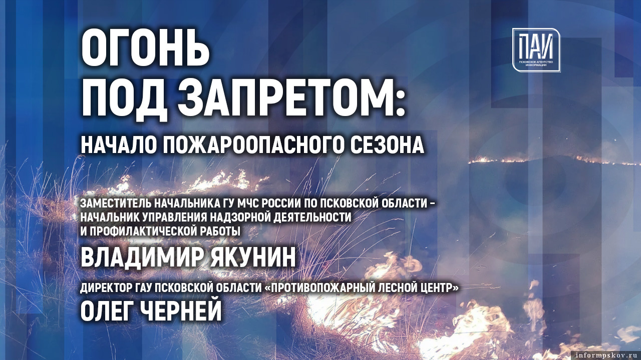 Иллюстрация: ПАИ