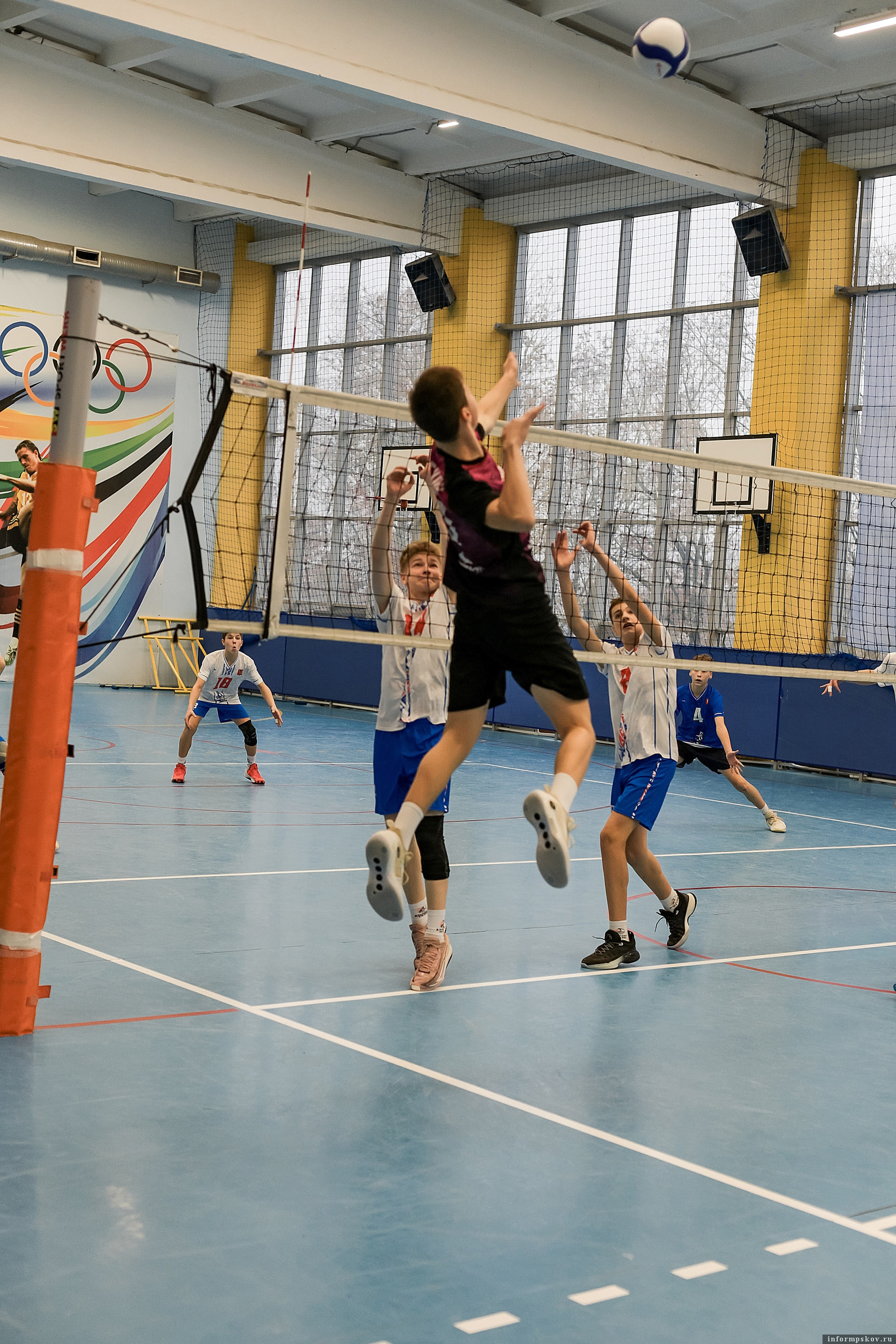 Фото из группы Pskov volleyball club в соцсети «ВКонтакте»