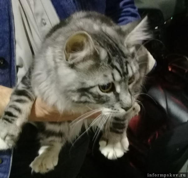 Фото: пресс-служба Северо-Западного межрегионального управления Россельхознадзора