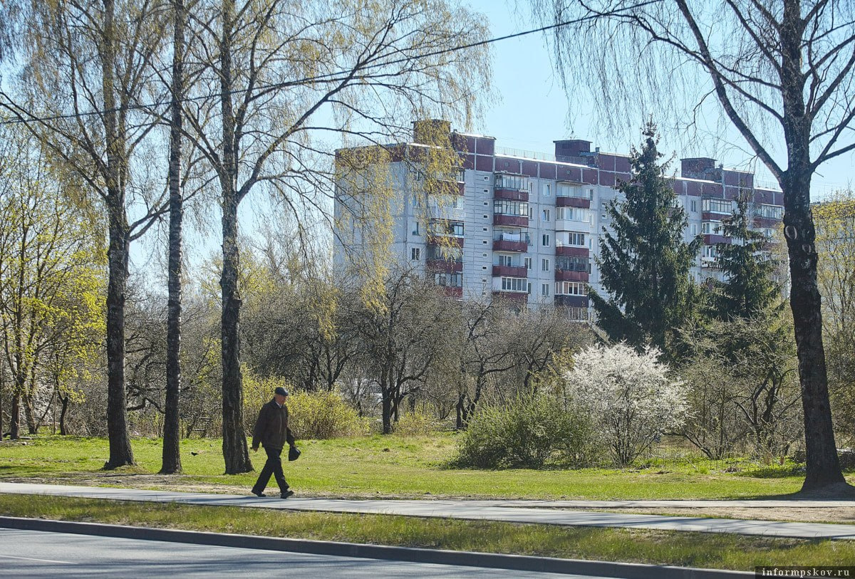 Фото: ПАИ