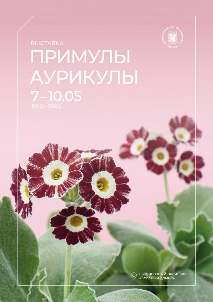 Изображение: организаторы