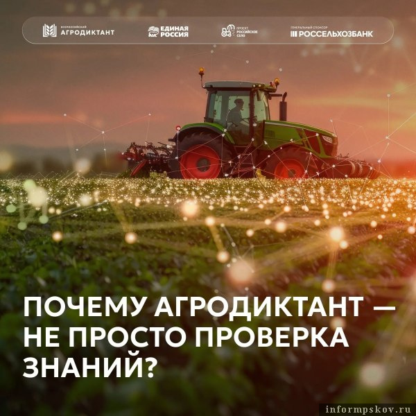 Изображение: пресс-служба правительства Псковской области