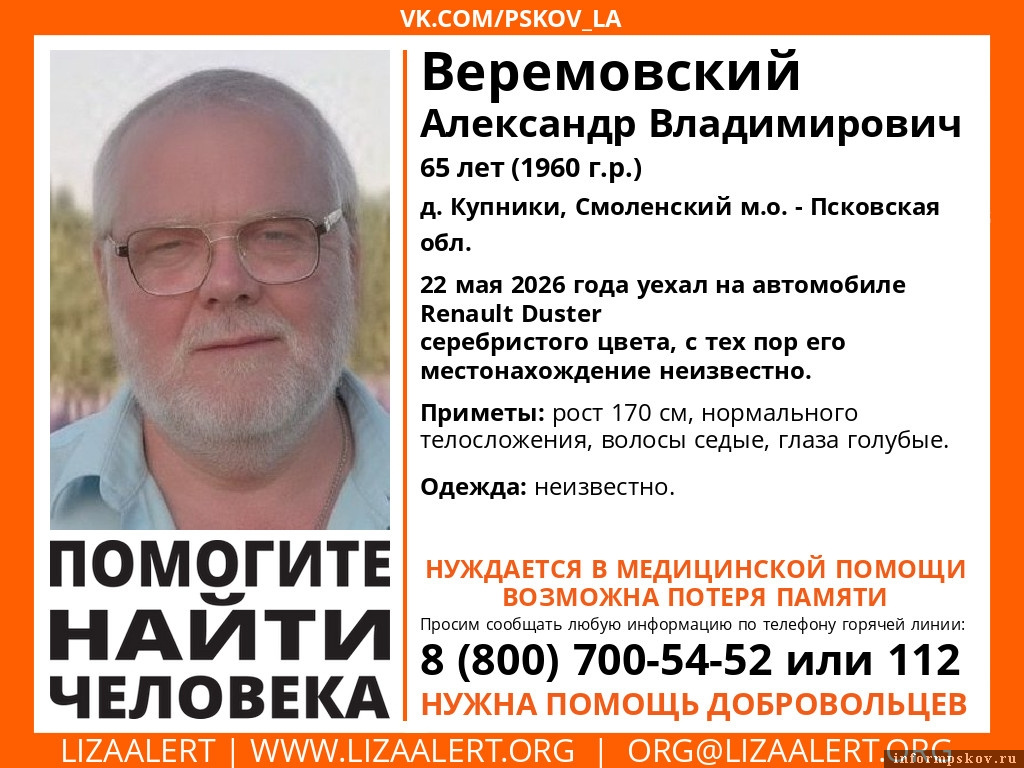 Изображение из группы поискового отряда «ЛизаАлерт» Псковской области в соцсети «ВКонтакте»