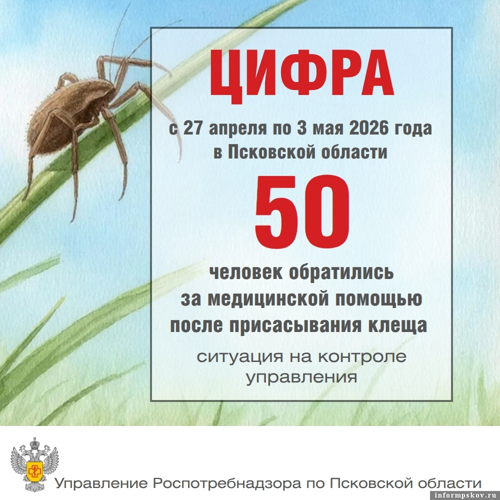 Изображение: пресс-служба Управления Роспотребнадзора по Псковской области