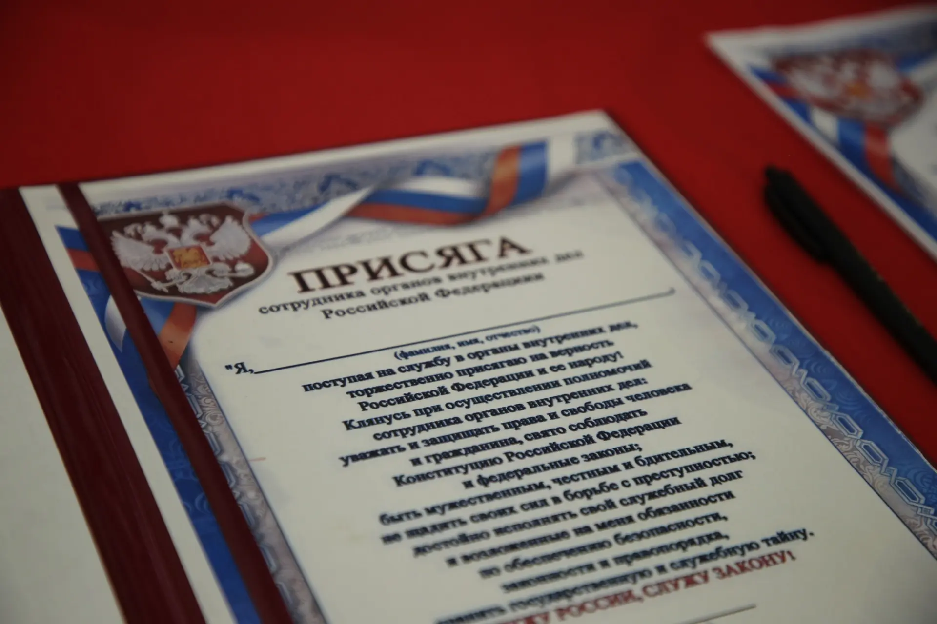 Фото здесь и далее: пресс-служба УМВД России по Псковской области