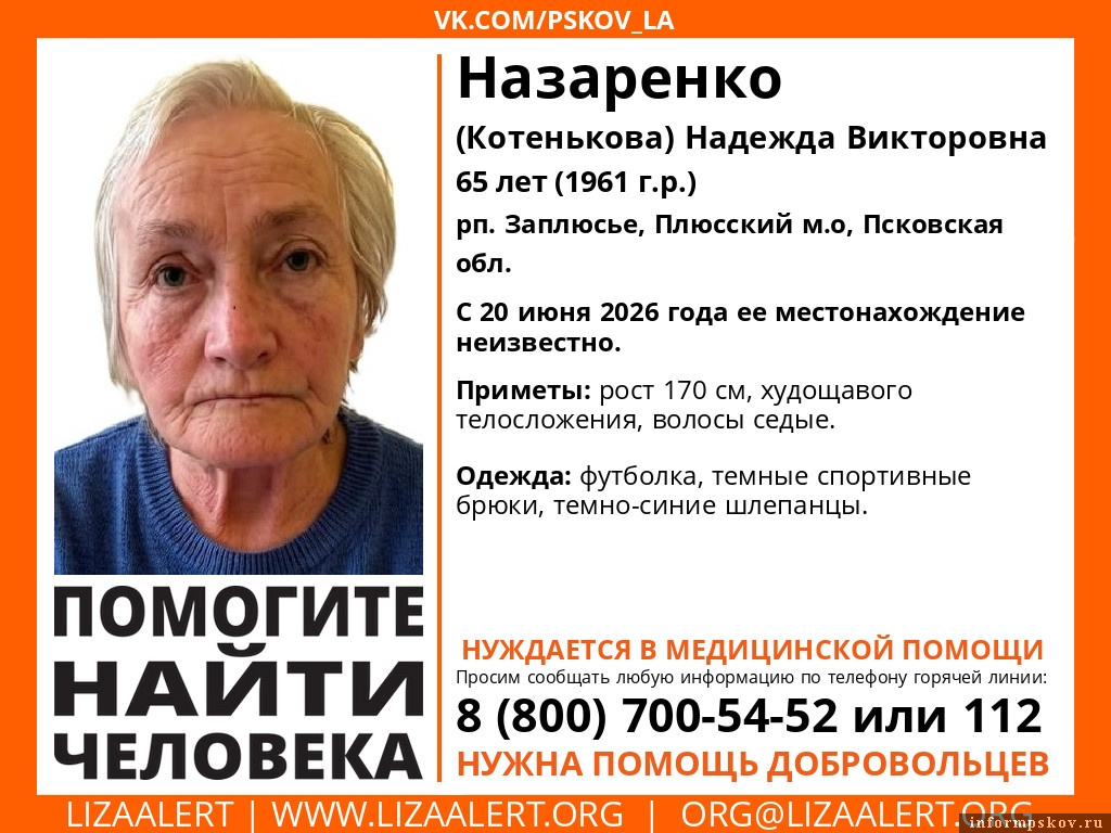 Изображение: поисковый отряд «ЛизаАлерт» Псковской области
